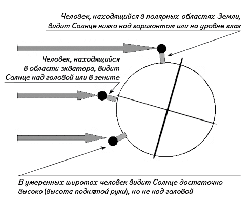 Рис. 5. На какой высоте люди видят Солнце на разных широтах