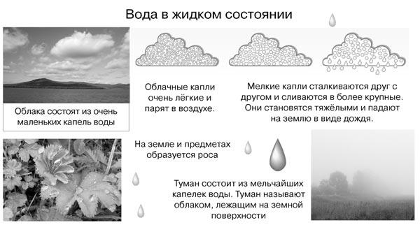 Рис. 6. Вода в жидком состоянии (см. атлас «Окружающий мир. Природа и человек. 1–4 классы» (авт. О.В. Крылова, В.И. Сивоглазов). – М.: Дрофа, ДиК, 2007. С. 12).